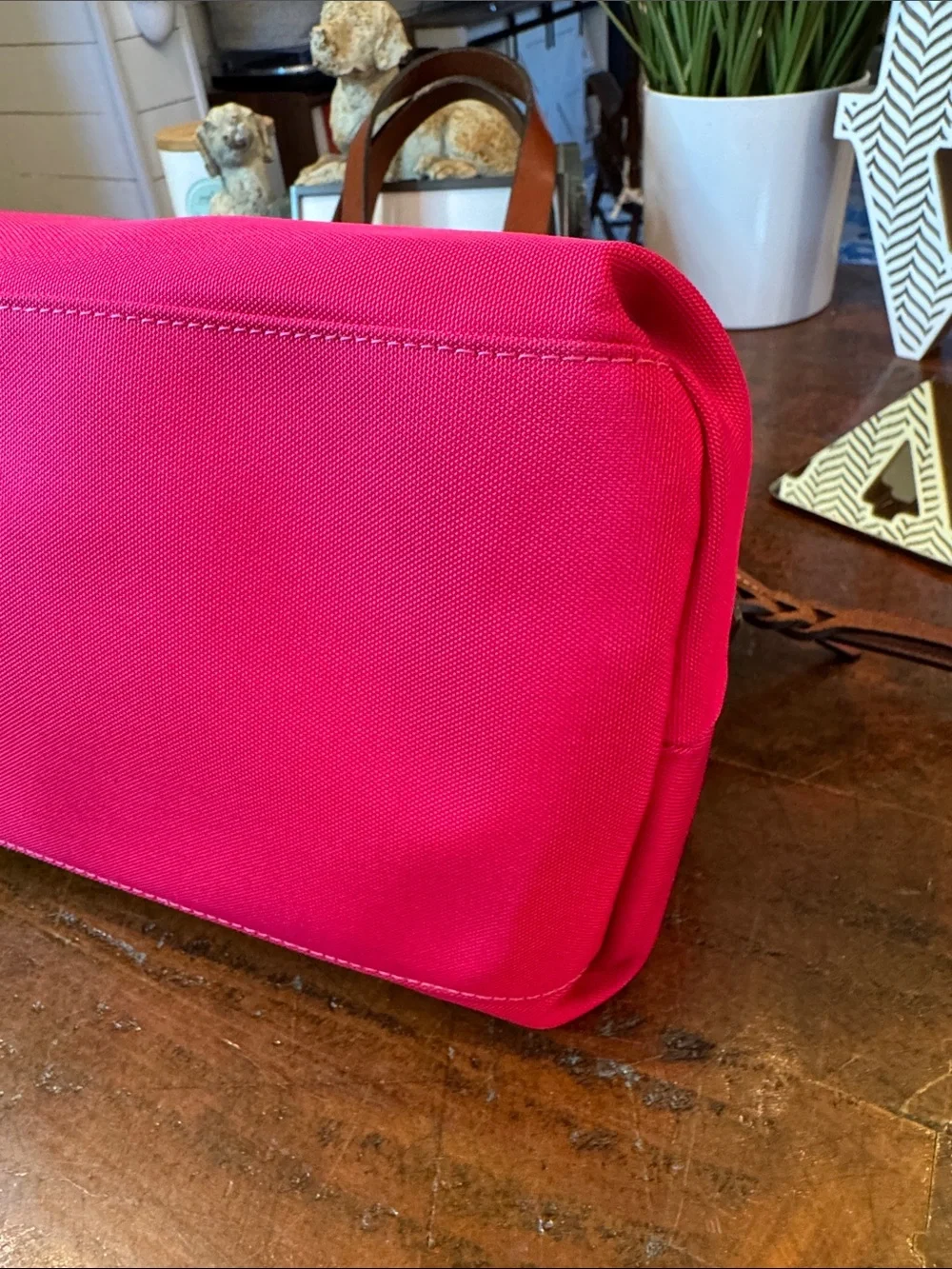 Dooney & Bourke Hot Pink Nylon Satchel with Brown Leather Trim